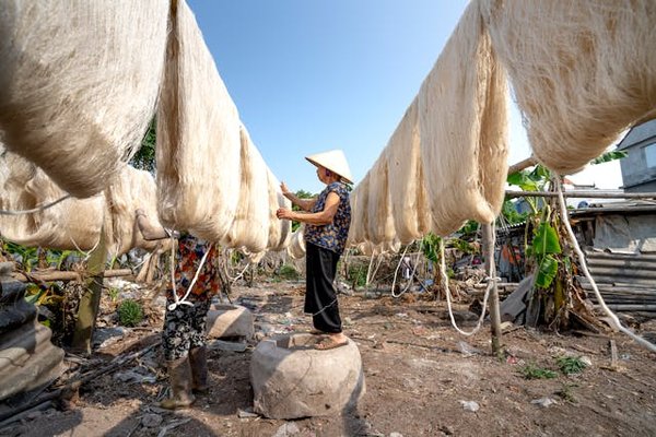 Où découvrir les traditions de la fabrication de tapis en Iran?